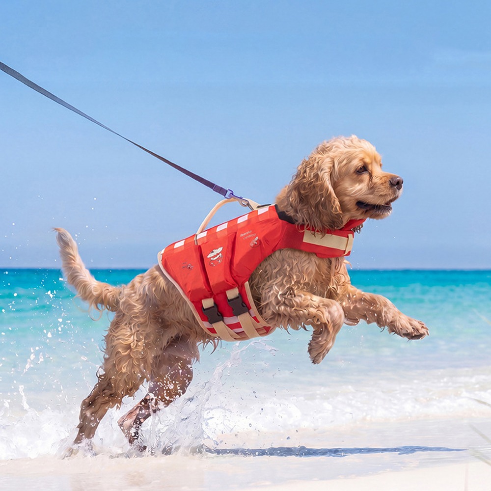 Waterproof Dog Life Jacket Bre - огляд і ціна Life Jacket